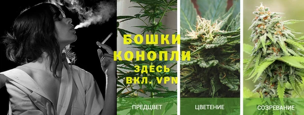 PSILOCYBIN Волосово